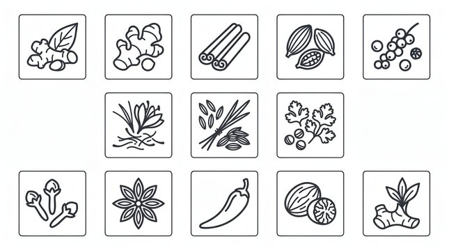 Spices and herbs line icon set including ginger, cinnamon, chili, and star anise for cooking, organic food, and kitchen menu design