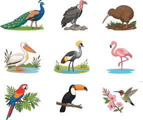 Obraz premium Diverse wild birds vector illustration set featuring peacock vulture kiwi pelican crane flamingo macaw toucan and hummingbird characters