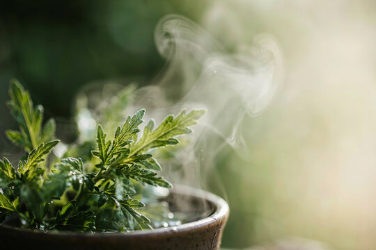 Fresh green herbal plant stems steaming in ceramic bowl with vapor.