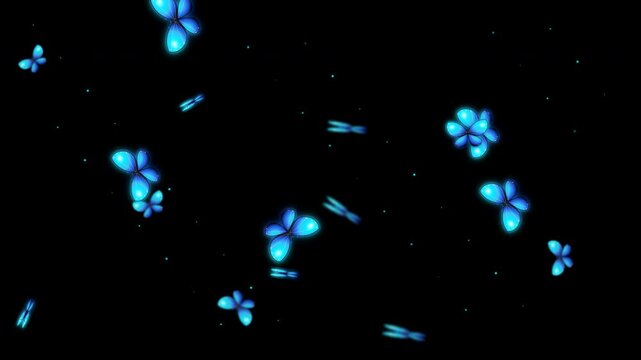 Blue butterflies night glowing butterfly flying on sky Housefly Mosquitoes Swarm of flies bee flying animation black Screen