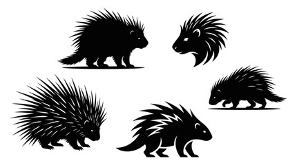 Fototapeta premium Porcupines Set, Various Poses and Views, Black Silhouette Design