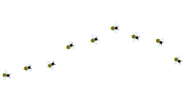 Tiny bees flying in wavy paths on a clean white background