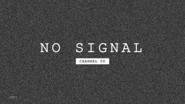 Vintage Analog TV Static Screen with Glitch Effect and No Signal Channel 00 Display