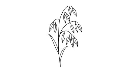 Obraz premium Simple Hand Drawn Minimalist Oat Plant Sprig With Ripe Grain Heads Line Art Vector Icon Illustration On Clean White Background For Web And Print Design Projects - detailed commercial stock imagery