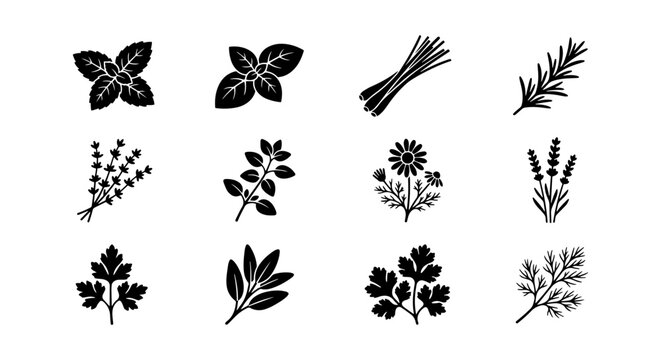 Herbs Vector Icons Set, Culinary Plants Collection, Aromatic Spices Graphics, Kitchen Ingredients