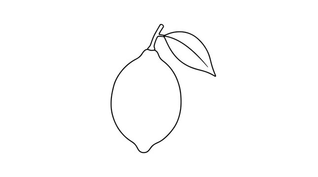 Hand-drawn minimalist Meyer lemon fruit vector icon featuring green leaf and stem, elegant simple black line art illustration of citrus fruit botanical drawing on clean white background