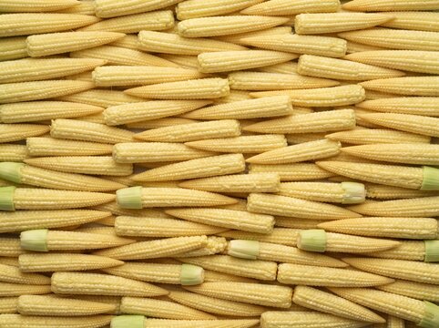 Stacked dried corn cobs forming a textured golden background pattern