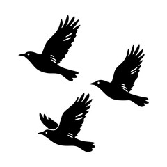 Fototapeta premium Three black birds flying together in a group as a simple dark silhouette vector illustration