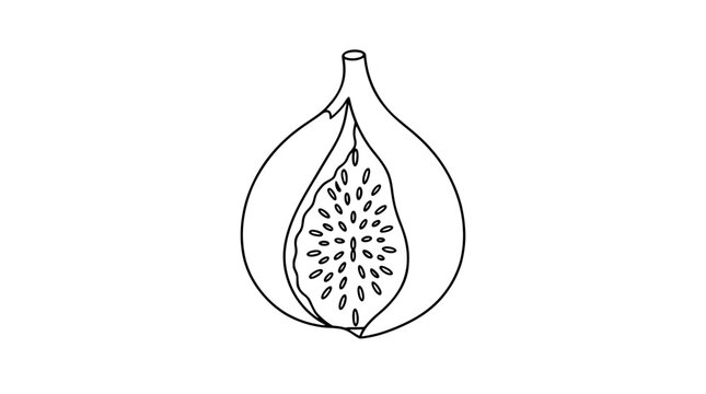 Hand-drawn vector illustration of a fresh sweet fig fruit with split open skin revealing seeds inside, botanical line art icon for healthy eating, natural food design, organic fruit