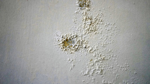 Bubbling wall surface shows blistered paint and mineral deposits.