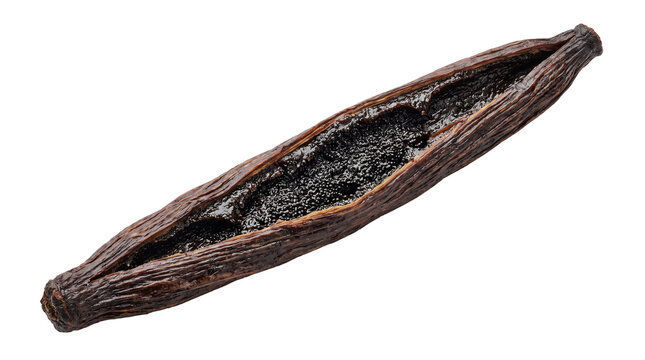 Split Open Bourbon Vanilla Bean Pod Filled with Fragrant Aromatic Caviar Seeds for Pastry Baking