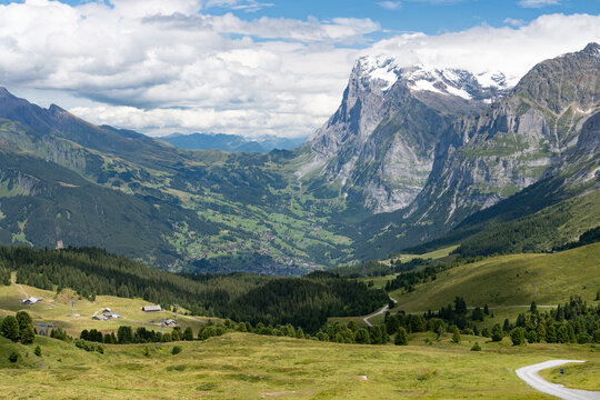 Alpine Valley View Toward Grindelwald in Summer