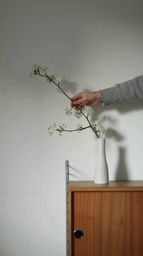 Hands Arranging Beautiful Flowers in Elegant Vase in Aesthetic Interior
