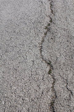 Cracked dry asphalt surface close up view.