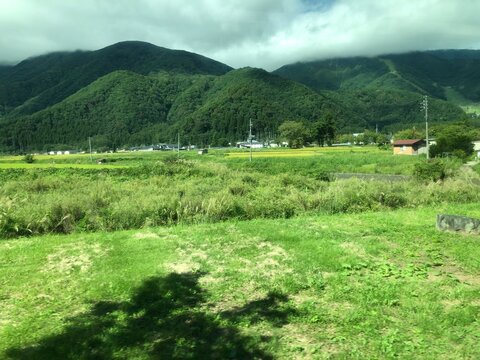 Green Japanese countryside with fields and forested mountains