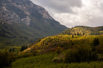 Autumn landscape in the Wasatch Mountains near Kyhv Peak Utah © Jhazy