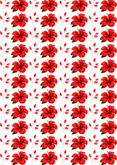 Seamless watercolor pattern of red hibiscus flowers with tropical red leaves on white background © lailaa