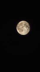 moon in the night © Дмитрий Ляшенко
