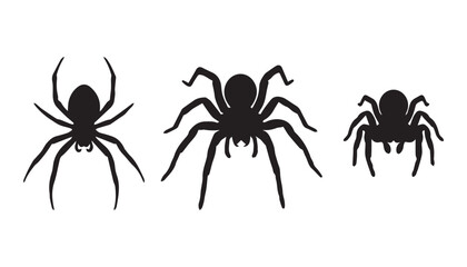 black color silhouette set of three spider vector illustration, solid white background © Potato