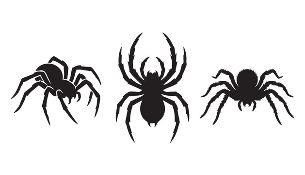 black color silhouette set of three spider vector illustration, solid white background