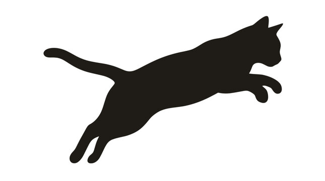 Silhouette of a jumping cat in midair