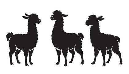 black color silhouette set of three llama vector illustration, solid white background © Potato