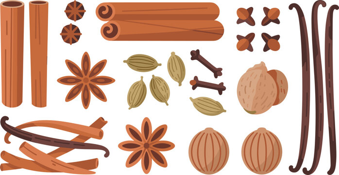 Aromatic Baking Spices Collection Set with Cinnamon Sticks Star Anise Vanilla Pods Cardamom Cloves and Nutmeg Elements Isolated on White Background Vector Illustration