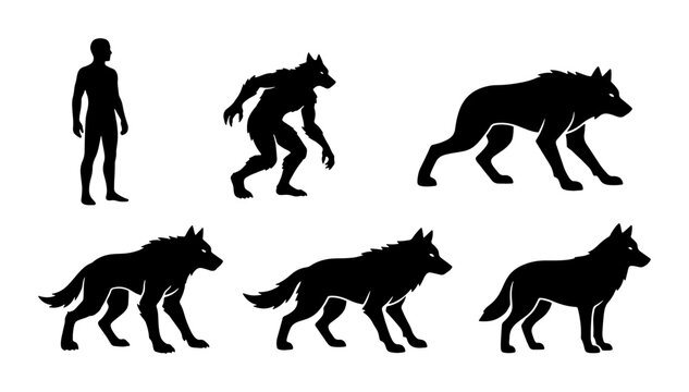 Werewolf Transformation Sequence, Human to Wolf Evolution, Mythical Creature Silhouettes, Dark Fantasy Art