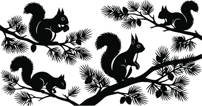 An old fashioned black and white engraving depicts four squirrels actively foraging for food within the lush green branches of pine trees