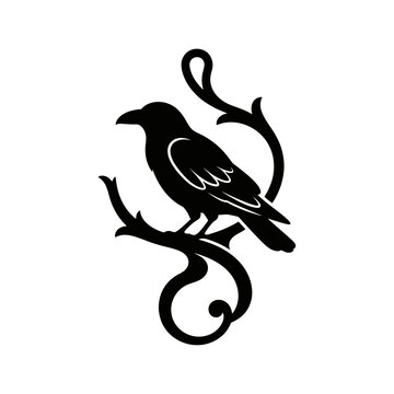 Black decorative bird perched on curling vine, ornamental vector ornament. Stylized silhouette artistic folk art. Elegant floral pattern element for borders. isolated on White Background