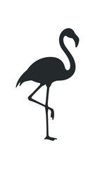 Fototapeta premium Silhouette of a Flamingo Standing on One Leg.