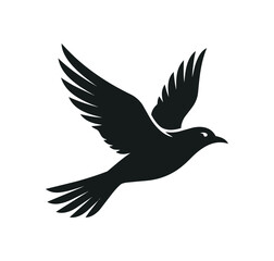 Fototapeta premium Silhouette of a black bird in flight.