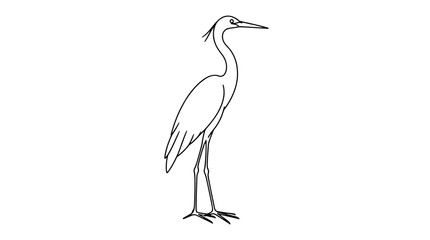 Obraz premium Elegant heron standing tall with slender S-curved neck in minimalist black and white line art vector illustration, graceful wading bird icon perfect for nature wildlife and wetland conservation design