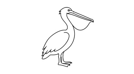 Obraz premium Hand Traced Pelican Vector Icon with Large Throat Pouch and Long Beak, Minimalist Line Art Illustration for Wildlife and Nature Design Projects - professional high detailed commercial stock imagery