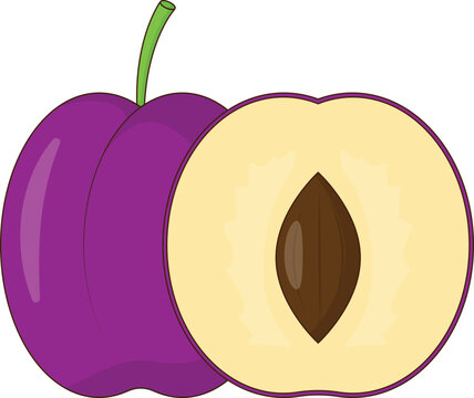 Whole and Halved Purple Plum Fruit with Seed Vector Illustration. Clean Icon Design Element Isolated on White Background