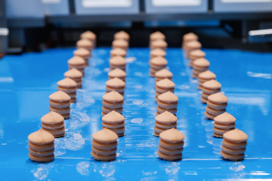 Rows of layered sandwich cookies and macarons moving on blue conveyor belt in an automated confectionery machine at ready to eat dessert and snack factory. Food manufacturing process.