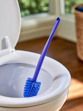 Clean Toilet Brush Beside a Spotless Toilet