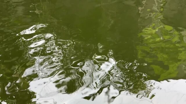 Murky pool water surface video with gentle rippling waves, subtle water movement footage for nature and abstract design background use