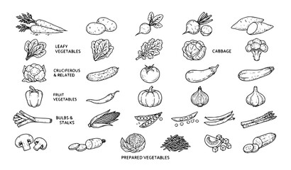 Obraz premium Hand Drawn Fresh Vegetable Whole Sliced Chopped and Grated Line Art Vector Collection