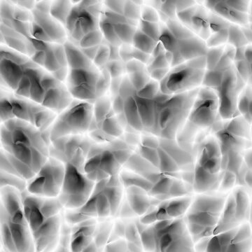 Soft Cellular Voronoi Displacement Map