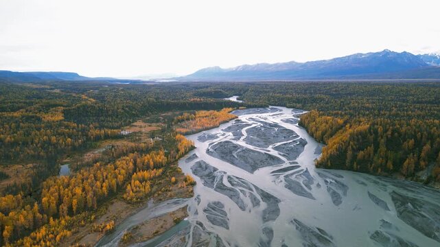 Aerial view of a braided river in an autumn forest landscape