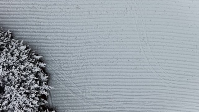 Aerial Top View of Vast Snowy Plain with Tire Tracks and Forest Corner