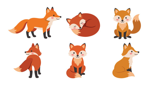 Set of cute red fox character vector illustration featuring different poses sitting standing sleeping and looking isolated on white background
