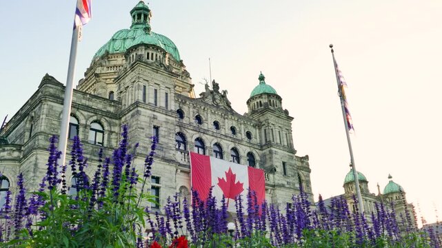 Victoria, British Columbia, Canada - September 18, 2026: British Columbia Parliament Buildings dome with Canadian flag behind purple lavender flowers