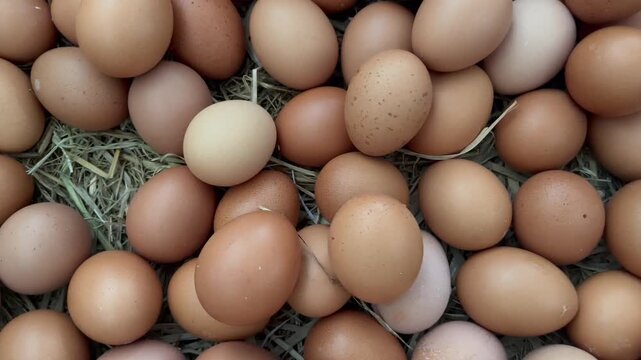 Fresh Organic Brown Eggs Piled on Straw Nest Background