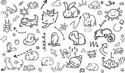 Obraz premium Exotic pets collection and cute wild animals doodle pattern