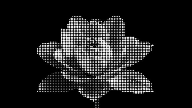 Abstract black and white halftone pattern with gradient dots