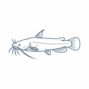 Catfish line art vector illustration