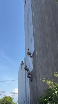 Workers in safety gear cleaning a tall building's exterior. Clear blue sky in the background. Green plants at the base of the building.