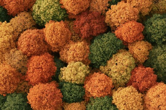 Top view of textured broccoli florets in autumn
